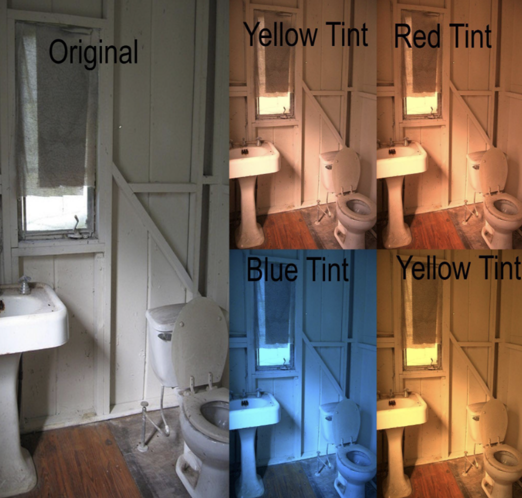 Color constancy input data